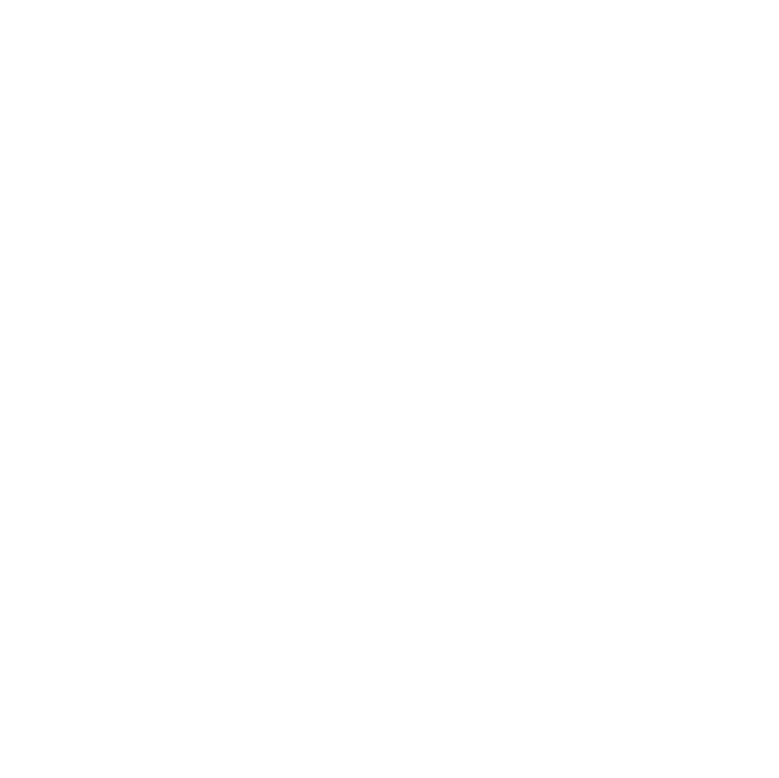Ikona-silikat_white