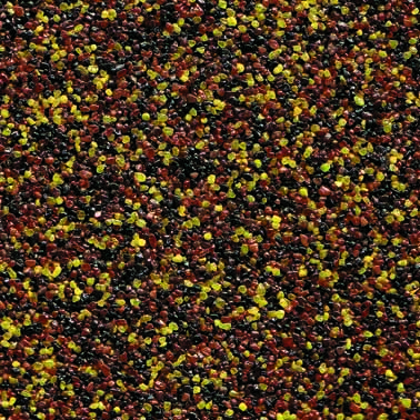 FBSP