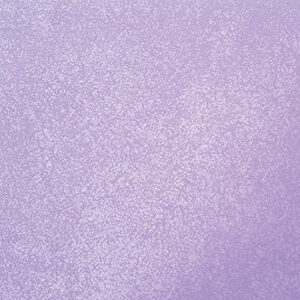 SILVER01