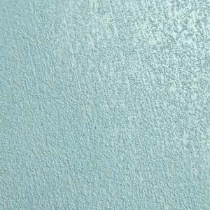 SILVER04