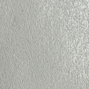 SILVER05