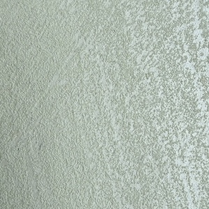 SILVER09