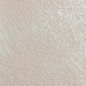 SILVER20