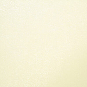 SILVER22 AN754