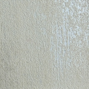 Silver 14