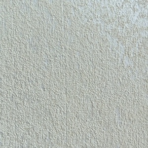 Silver 27