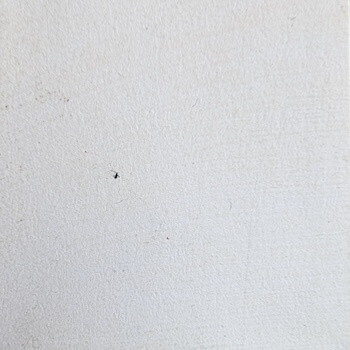 Veldecor D 1-28